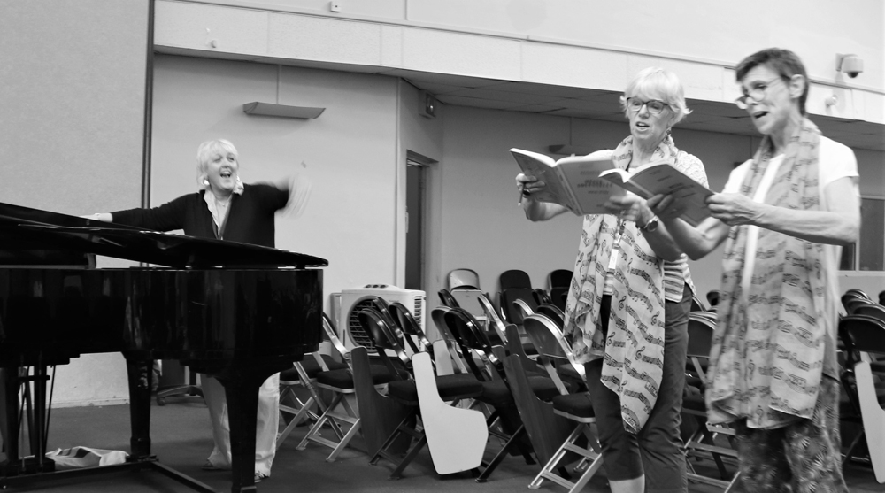 Janet directing a choral workshop